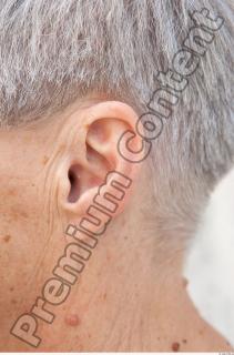 Ear texture of street references 393 0001